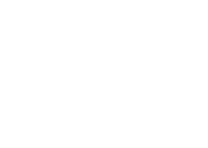 btm-lt-leaf.png